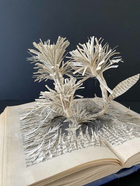 Création de Volume et de Construction 3D 
